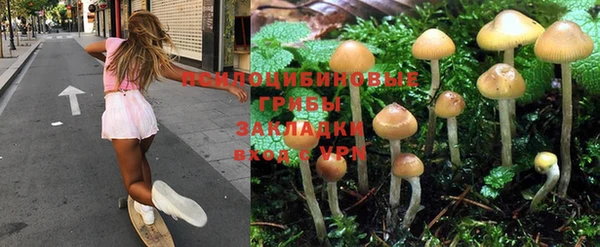 спайс Вяземский