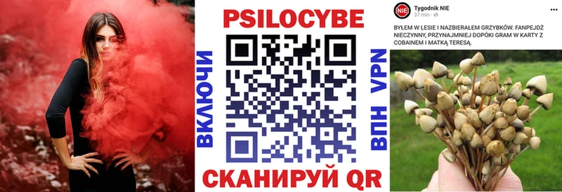 Галлюциногенные грибы ЛСД Купить где Россошь